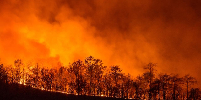 שריפה שריפות קליפורניה ארה"ב התחממות גלובלית
