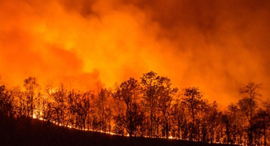 שריפה שריפות קליפורניה ארה"ב התחממות גלובלית