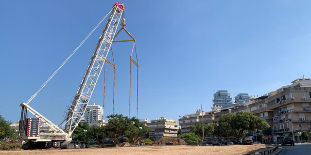 כיכר המדינה תל אביב פינוי עצים בנייה