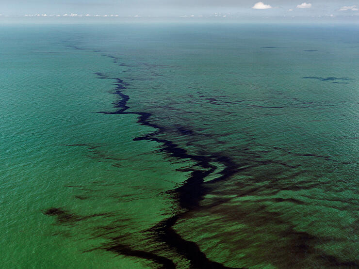 מוסף שבועי 8 .15.19 גלויות מהקצה כתם נפט שנסחף עם זרמי הים מפרץ מקסיקו ארה"ב