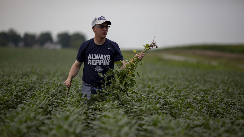 פועל בשדה סויה באילינוי, ארה"ב (צילום: בלומברג) פועל ב שדה סויה באילינוי ארה"ב