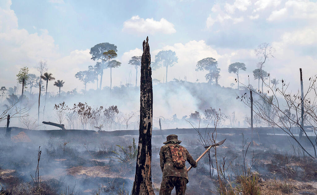שריפה שריפות אמזנוס ברזיל איכות סביבה