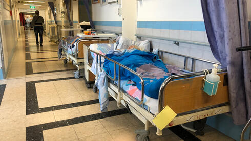 צילום: הדר גיל עד "ניסוי בבני אדם": הממשלה מפקירה את הבריאות בגלל שיקולים פוליטיים