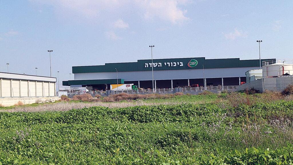 מרלו"ג של ביכורי שדה דרום (צילום: אמית גזית) מרלו"ג של ביכורי שדה דרום