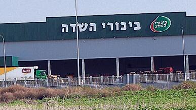 צילום: אמית גזית דרישת רשות ני"ע לא עבדה, האיום בתביעה כן: ביכורי שדה תעלה לאישור את עסקת בעלי העניין