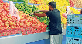 קניות בסופר קצבייה ירקות ופירות מעדנייה קופות עגלות