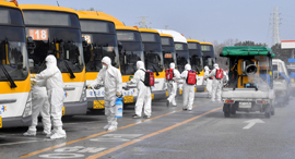 פוטו ריסוס נגד קורונה אוטובוסים דרום קוריאה 