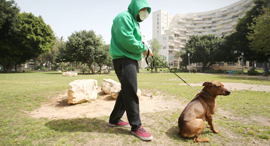 קורונה ישראל ראשון לציון טיול עם כלב