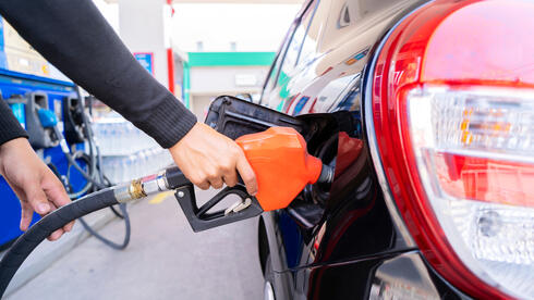 צילום: שאטרסטוק המלצת סוכנות האנרגיה בעקבות משבר הנפט: לנהוג יותר לאט ולעבוד מהבית