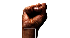 פנאי  מעצב קלביס פולנקו יצר עיבוד למניפת הצבעים המוכרת של פאנטון כרזה נגד אלימות נגד שחורים 