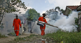 ריסוס נגד יתושים קדחת דנגי במערב ג'אווה אינדונזיה