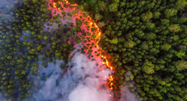 שריפות יער סיביר רוסיה באזור קרסנויארסק 