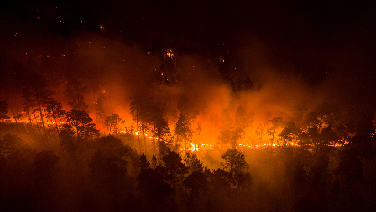 שריפות יער סיביר רוסיה אזור קרסנויארסק 