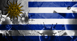 דגל אורגוואי דן אנד ברדסטריט 