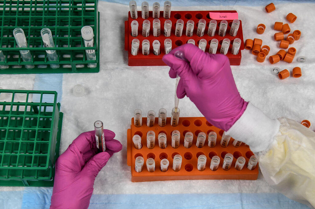 מעבדה  דגימות דם  מחקר חיסון קורונה הוליווד פלורידה אוגוסט 2020