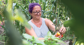 פנאי בילי הראל בגינת הירק שלה בחצר הבית 