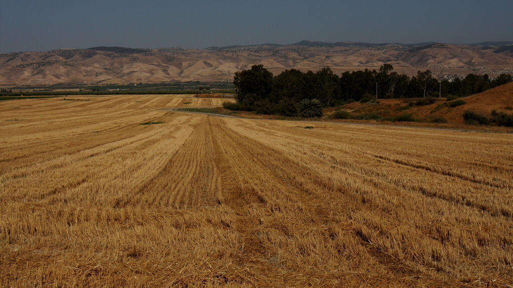 נזק לחממות בגלל סופה ב-2023. היקף הנזק בכל אירוע נקודתי גדל (צילום: נמרוד גליקמן) שטח חקלאי בקעת הירדן
