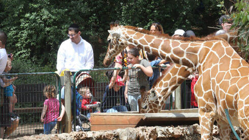 הספארי ברמת גן יועבר לפארק אריאל שרון במימון ממשלתי מלא - במקומו תיבנה שכונת מגורים