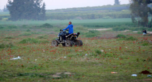 צעיר נוהג בטרקטורון בתוך שדה כלניות , צילום: רועי עידן
