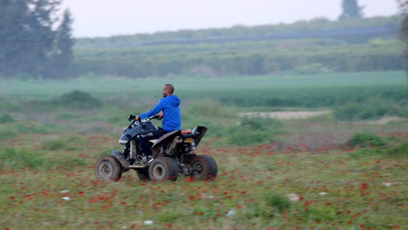 צעיר נוהג ב טרקטורון בתוך שדה כלניות פנאי
