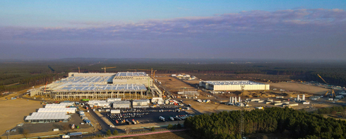 השטח שעליו ייבנה מפעל טסלה בגרמניה, צילום: רויטרס 