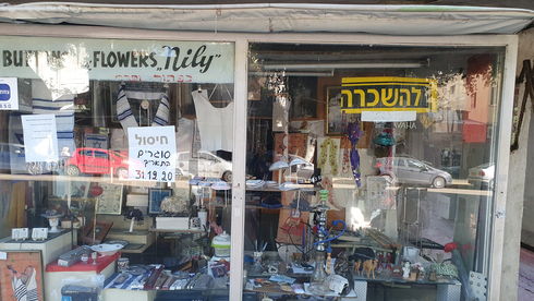 רחוב דיזנגוף, תל אביב, צילום: דוד הכהן