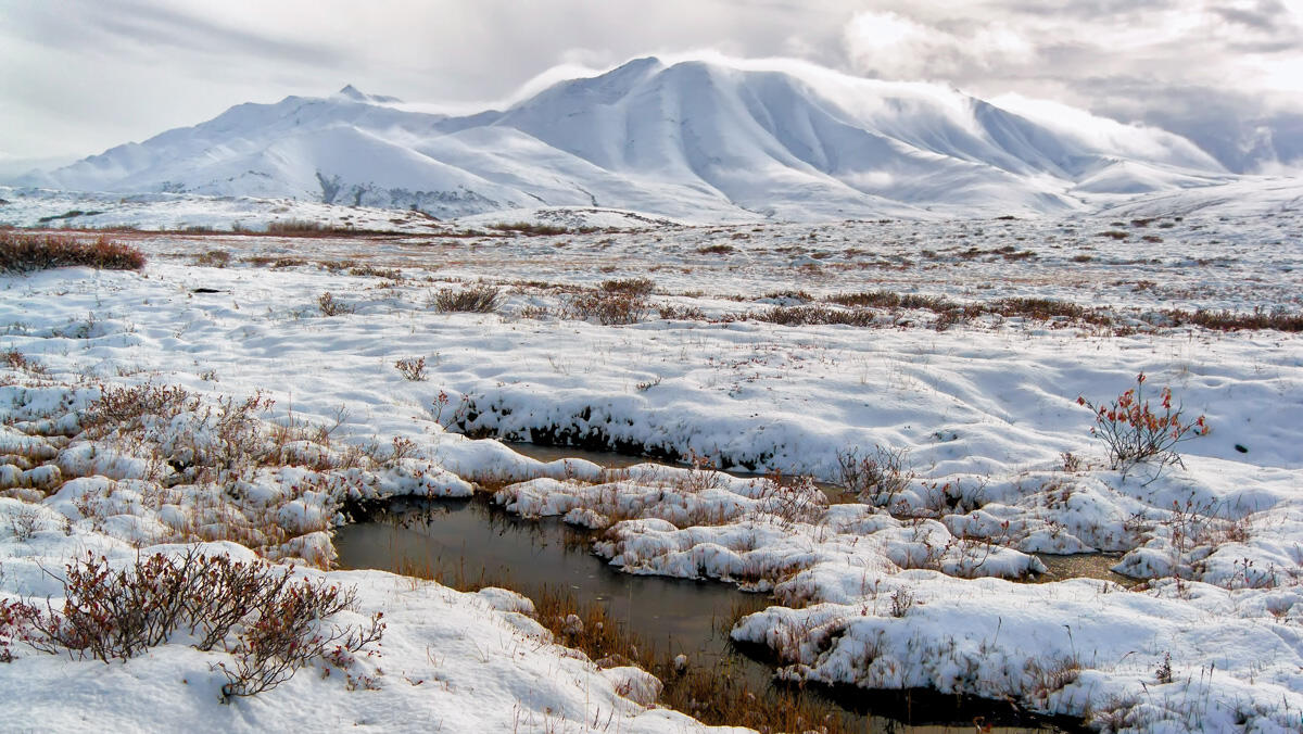 פוטו אתרי טבע שעשויים להיעלם אלסקה Arctic National Wildlife Refuge