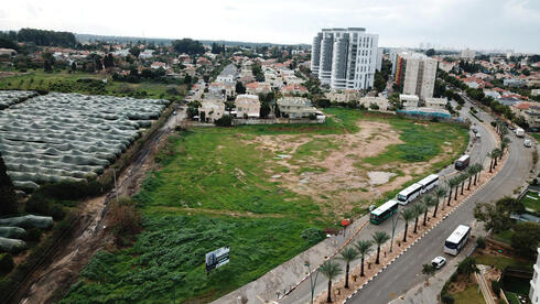 גם לא באזור הביקוש: קבלנים הפסיקו לגשת למכרזים בקנה מידה בינוני