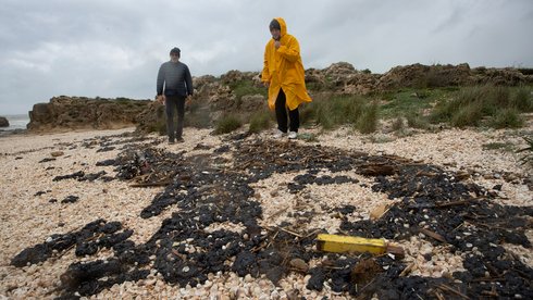 זיהום הזפת בחוף דור, צילום: גיל נחושתן