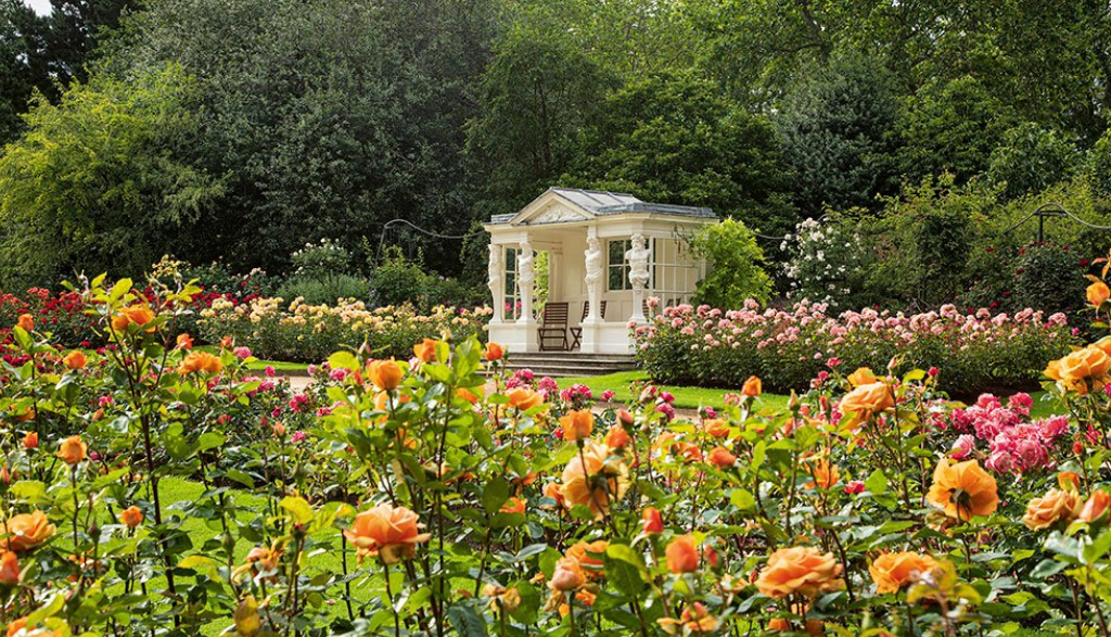 הגינות ב ארמון בקינגהאם בריטניה בית המלוכה מוכר כרטיסים לציבור הרחב 3