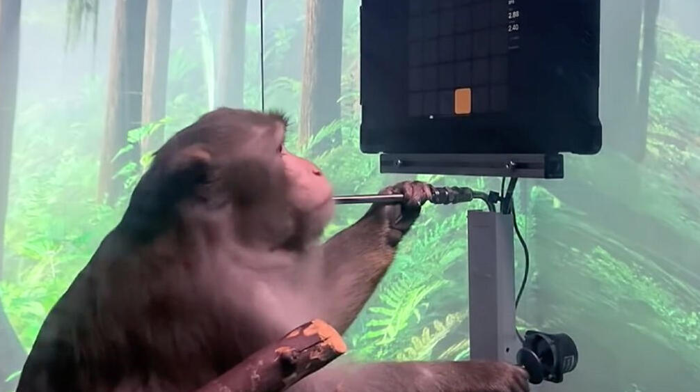 קוף משחק בכוח מחשבה נוירלינק Neuralink אלון מאסק