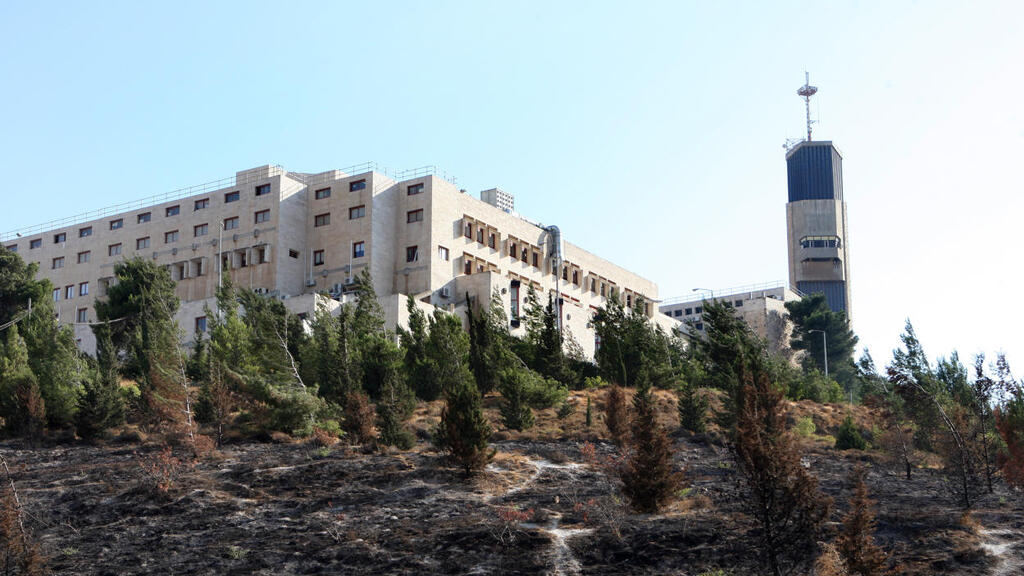 האוניברסיטה העברית