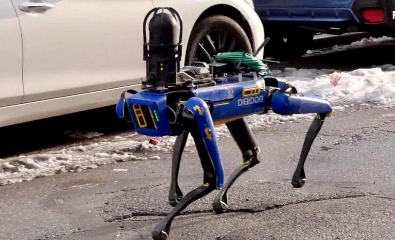  צפו: משטרת ניו יורק נעזרת בכלב רובוטי לביצוע מעצר