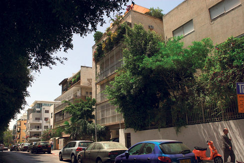 שדרות רוטשילד בתל אביב, צילום: עמית שעל