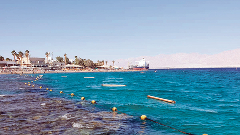 מיכליות נפט משייטות ליד חוף האלמוגים באילת, צילום: דרור בוימל, החברה להגנת הטבע