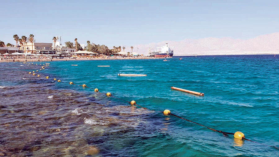 מפרץ האלמוגים אילת