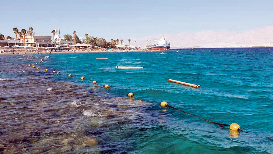 מפרץ האלמוגים אילת