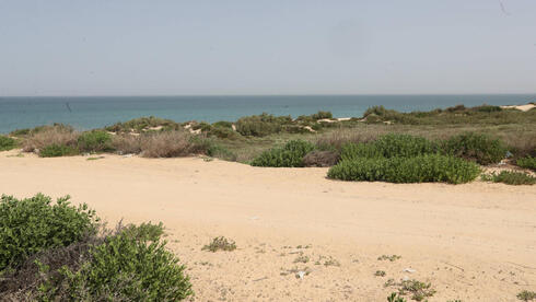 שטח תוכנית אשקלון חוף הים בין אשקלון ניצנים , צילום: גדי קבלו