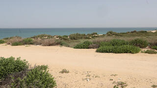 שטח תוכנית אשקלון חוף הים בין אשקלון ניצנים , צילום: גדי קבלו