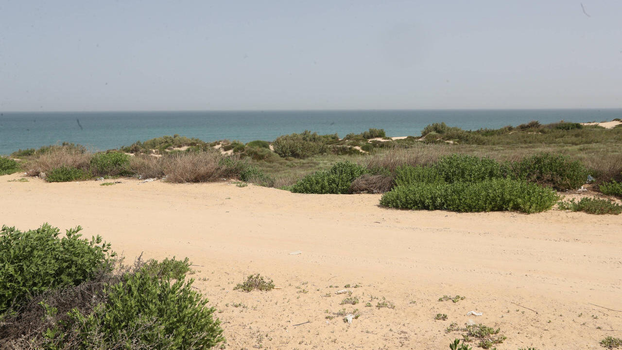 שטח תוכנית אשקלון חוף הים בין אשקלון ניצנים 