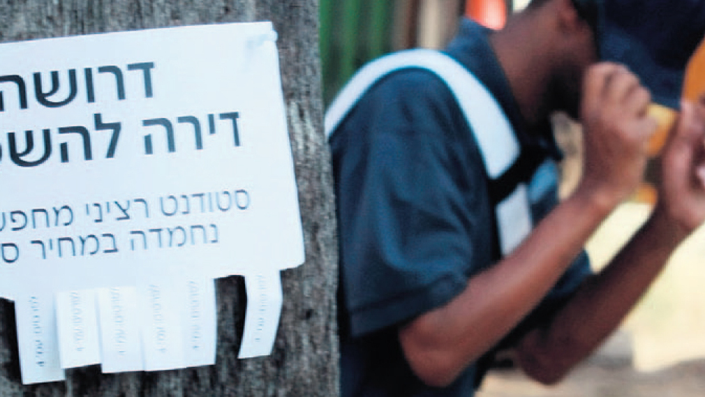 אינפו מחירי הנדל"ן בישראל