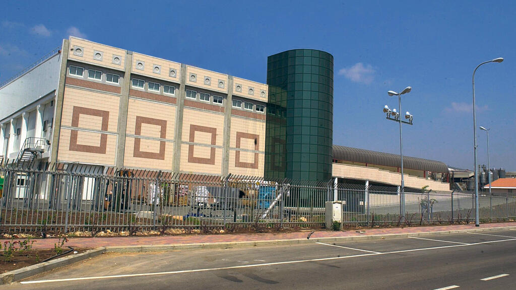 משחטה בשלומי שרכש דוד מצסה