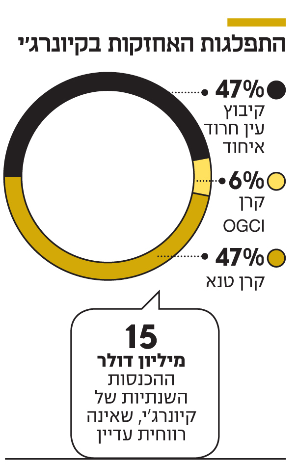 אינפו התפלגות האחזקות בקיונרג' 