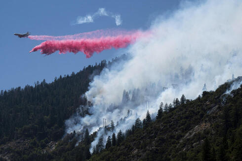 כיבוי שריפת יער באורגון בחודש שעבר, צילום: איי פי