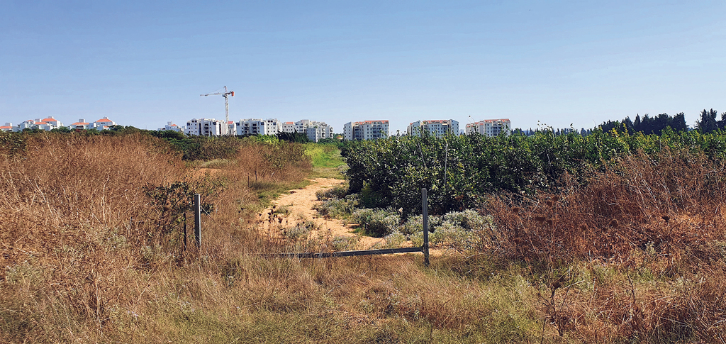 תוכנית בניה חדשה ברחוב ויצמן פינת רחוב גולדה מאיר רעננה