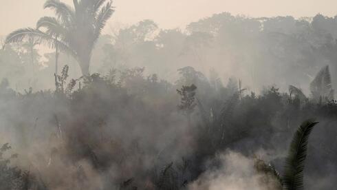 שריפה באמזונס. יערות משמעותיים במיוחד לאקלים שסובלים מפגיעה קשה, רויטרס