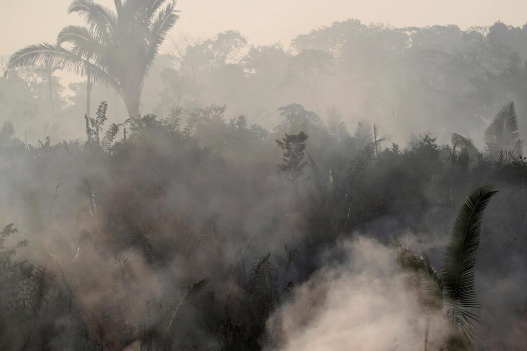 שריפה ב יערות הגשם ב אמזונס ברזיל