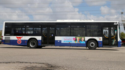 אוטובוס של דן, צילום: תומריקו