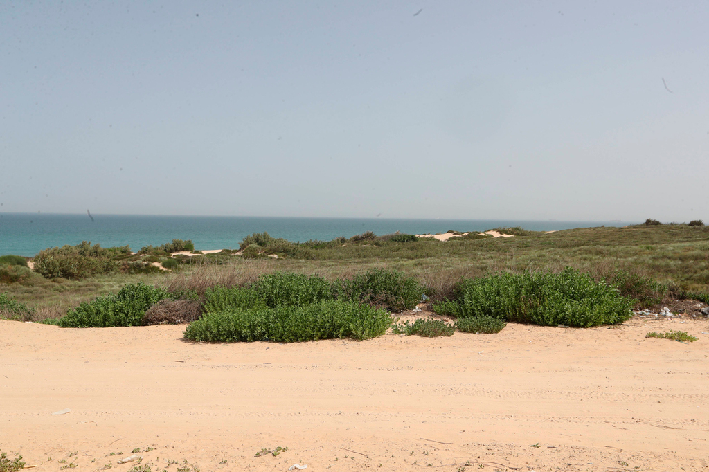 שטח שעליו יוקם מלון חדש ב חוף לידו אשדוד
