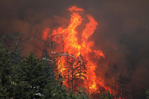שריפה קטלנית בקליפורניה, צילום: רויטרס